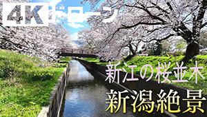 次回の放送