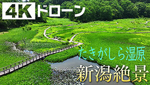 たきがしら湿原