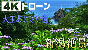 次回の放送