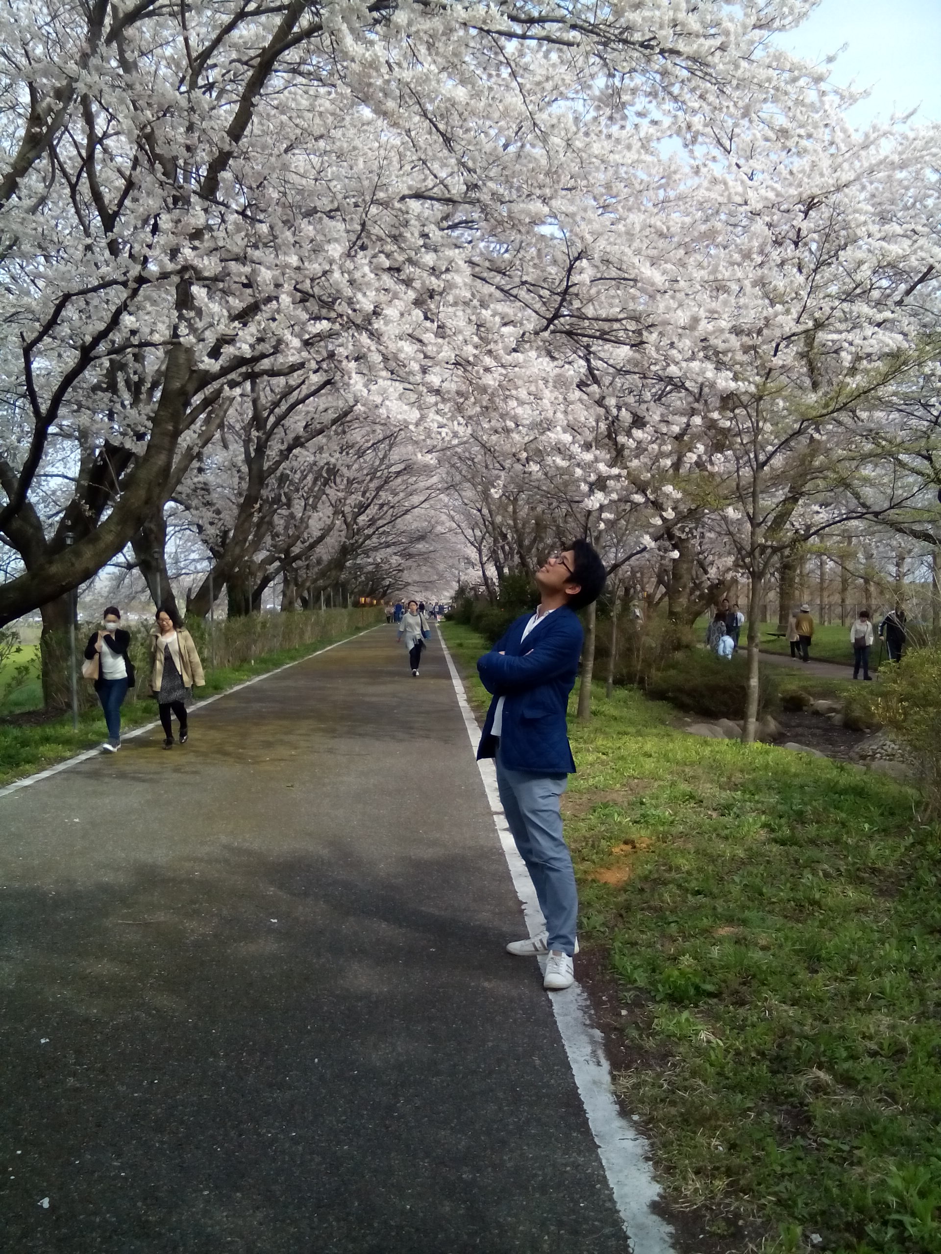 坂部友宏「来年の桜は皆さん穏やかに見られますように」