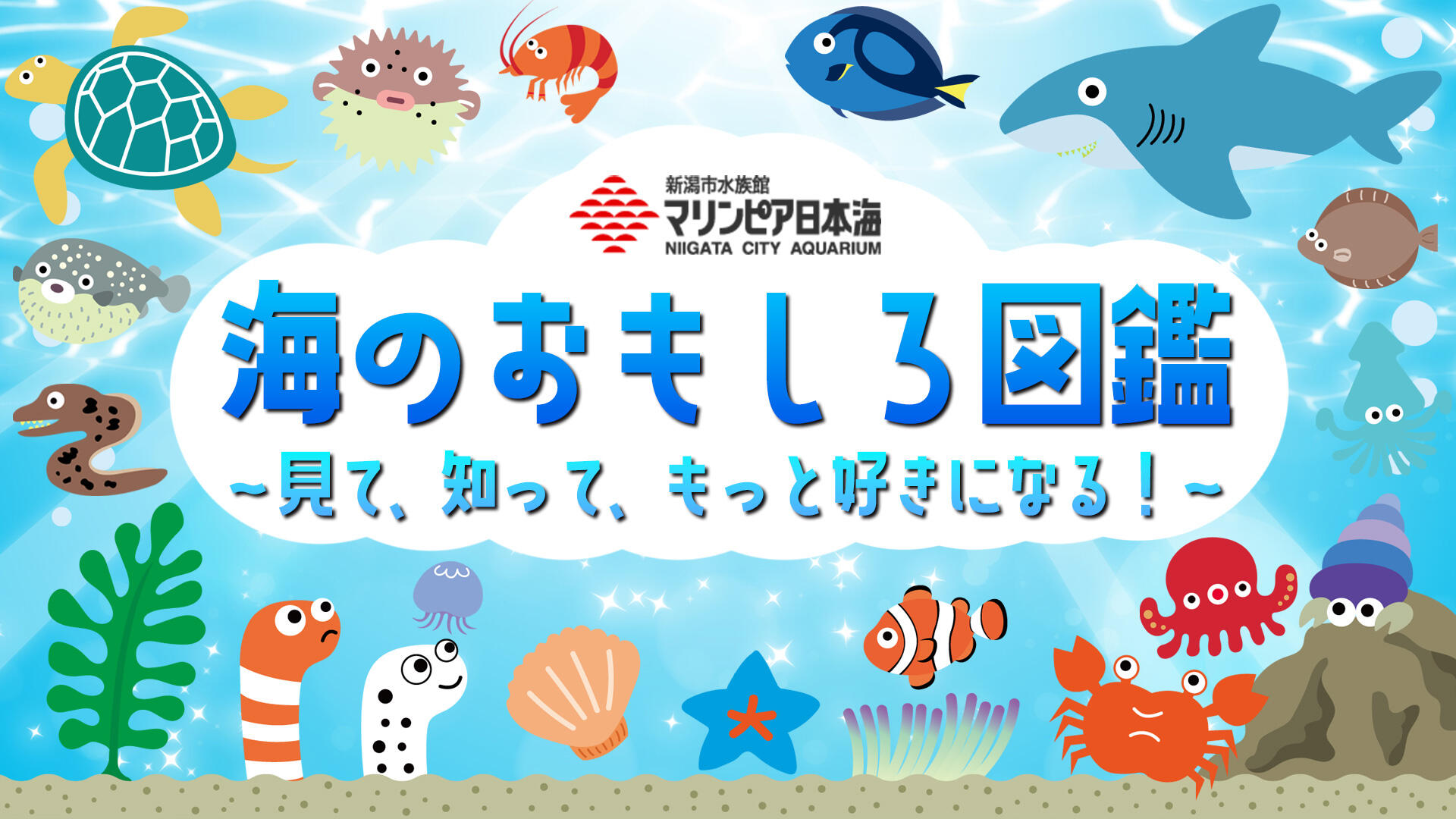 マリンピア日本海海「海のおもしろ図鑑」