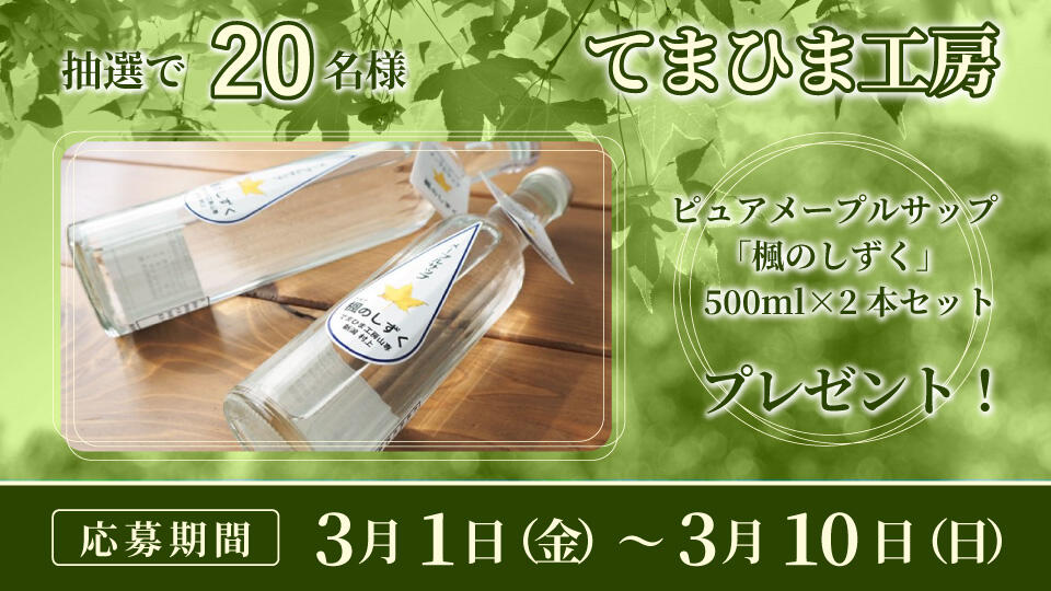 BSN新潟放送｜イベント｜ピュアメープルサップ「楓のしずく」 500ml×2