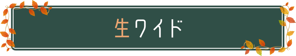 BSNラジオ 秋の番組情報 生ワイド