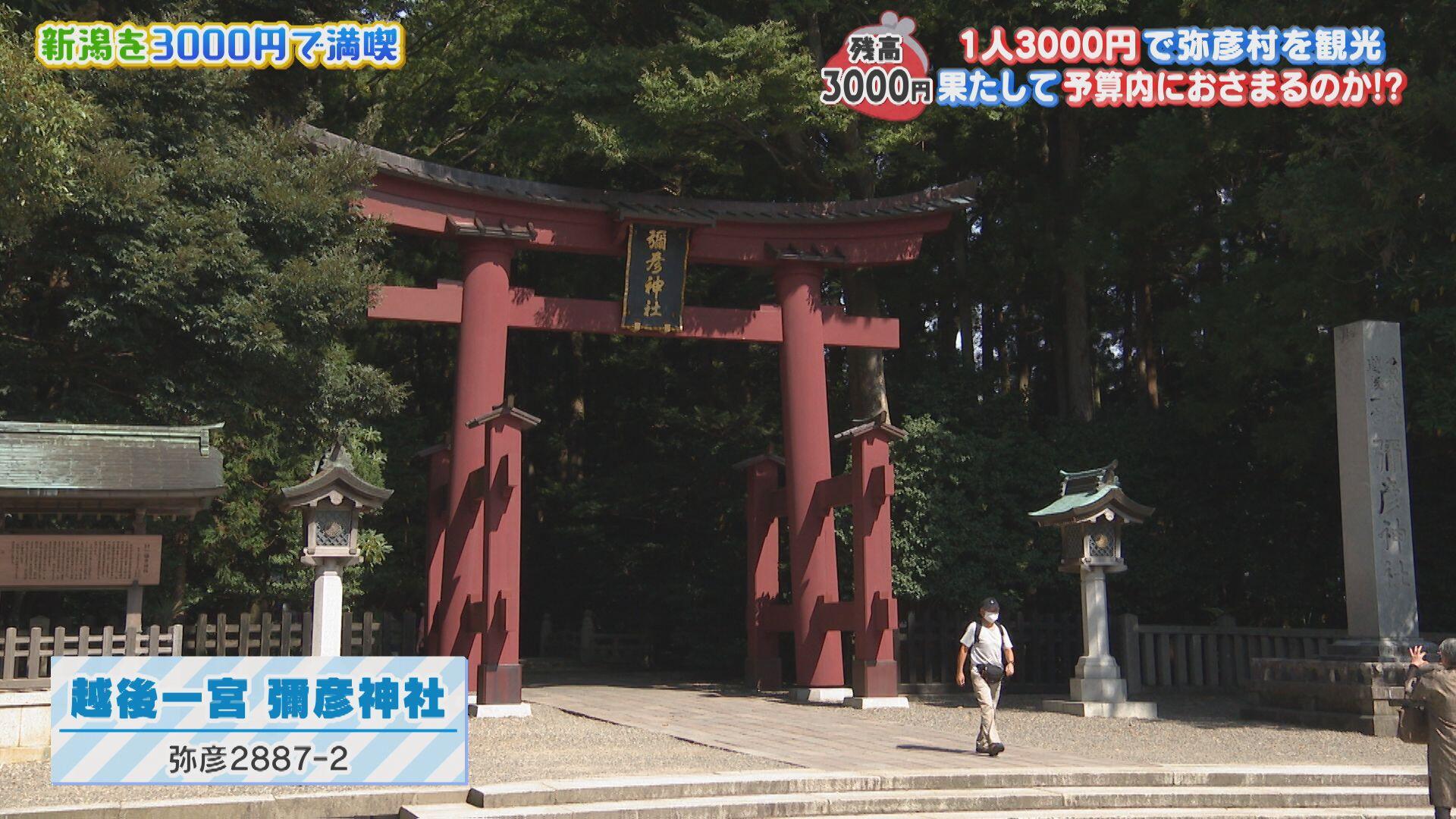 越後一宮 彌彦神社＿画像１