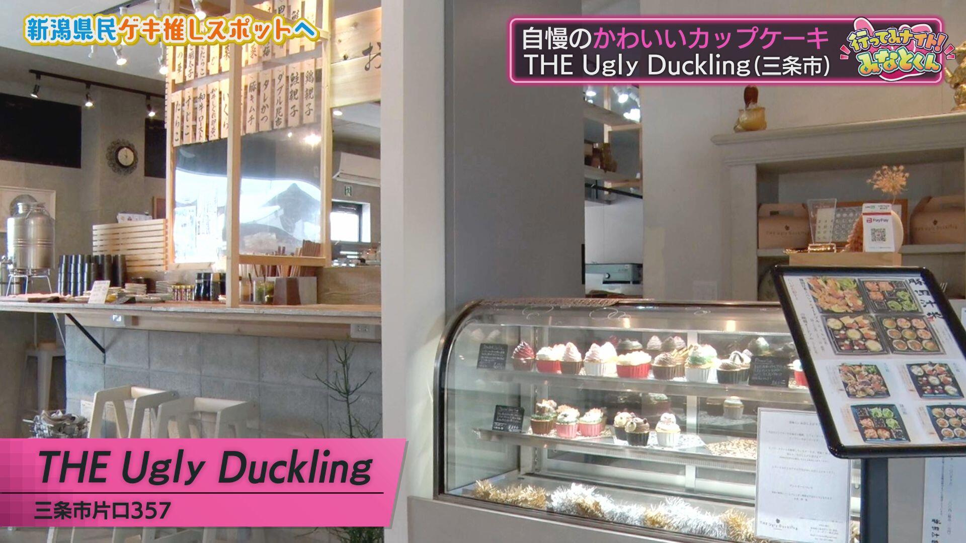 THE Ugly Duckling＿画像１