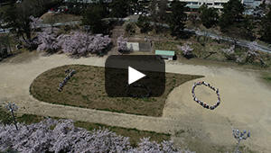 2022年4月23日　内野小学校の桜
