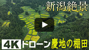 慶地の棚田　秋