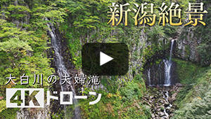 大白川の夫婦滝