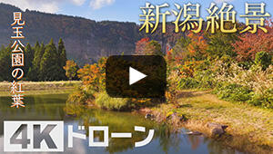 見玉公園の紅葉