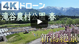 滝谷農村公園 春
