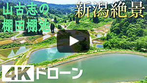 山古志の棚田棚池