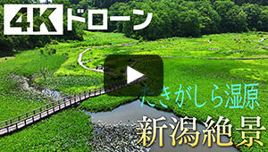 たきがしら湿原