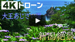 大王あじさい園