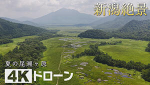 次回の放送