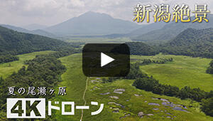夏の尾瀬ヶ原