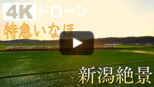 特急いなほ